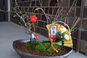 Vtj~͔~g~́@񂹐A@pjg~~͖~͑蕨~͐My~2022NJԂ̉ԉt̔~~͂ƂȂ܂B