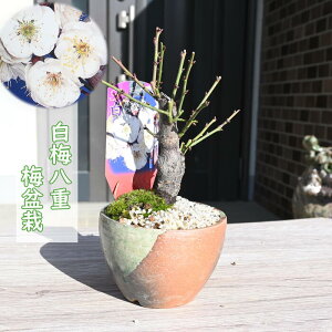 ~~ ~@d炫 Ԕ~ 2025NԉL