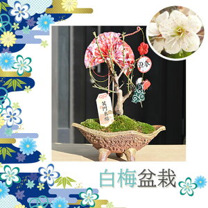 ̈d炫Ci~j~2025N3J VN̑蕨~~ E ߂tł͂R̍av[gɃE̍蔒~~͐MyĂMy~̖~ ~~ 