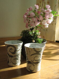 自宅でお花見が楽しめる盆栽桜 桜盆栽　苔ももと桜 炎彩コップ付き送料無料　2022年花芽付の桜盆栽となります。
