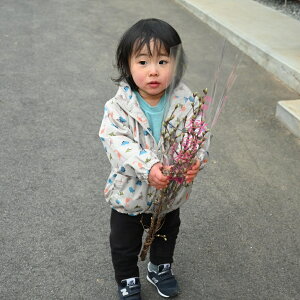 1222[̉ԂNnɂł2026N1ɍłԌR`̌[ ̐؂ԁ@݁@2{