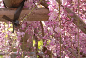 11{12̂͂ƂȂ܂Bc@{g@2026N4JԕcƂȂ܂