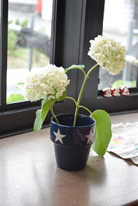 v[g6JԂ̃Aix2025N6JԃAixAWTCAWTCcɍ炭@Aixn̓O[甒ɍ炭@Aix7ȍ~̂͂̏Ԃł͂ƂȂ