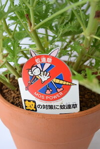 ̊ʂA@ẢA@x_łCɈ炿܂@AȂ̂ŏꏊƂ܂