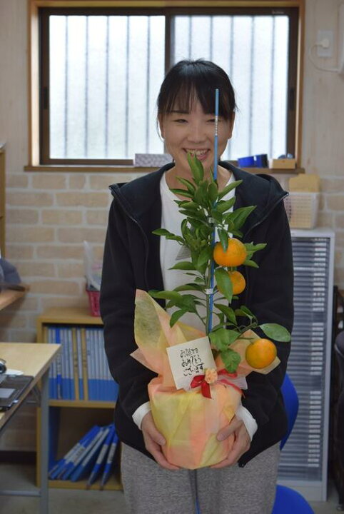 楽天市場 みかん食べよう22年2月頃までは実付です みかんの木ミカン鉢植え実がついています ビタミンcは 免疫力アップみかん鉢植え 園芸百貨店何でも揃うこぼんさい