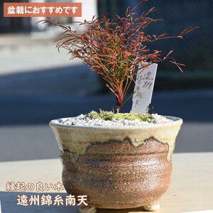 N悢؁@BюV ~ A ie 킢~͋ՎV@񂵃ie@~j~ Nǂ ~ V~j~͌ÓT|A ÓTA