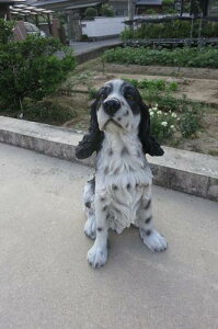 u킢ł@肢@DOG @l͔Ԍɂ͌Ă܂iȂԌ