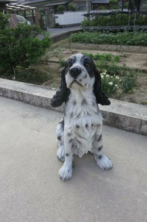 楽天市場】送料無料犬置物かわいいですよ お願い DOG 僕は番犬には向い 