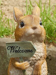 EFJ̒u rbg̒u݊@@@EFJ