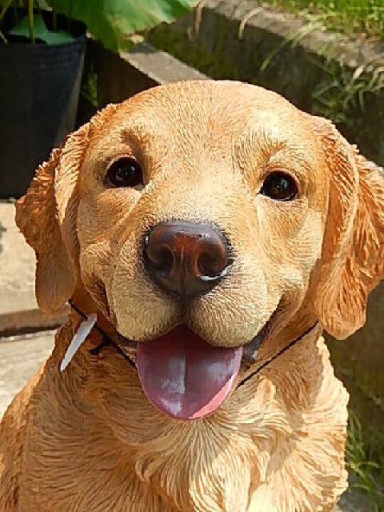 楽天市場】かわいい番犬に置物 レトリバーオブジェ 犬置物置物です 