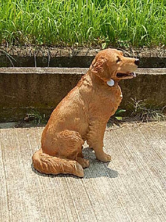楽天市場】かわいい番犬に置物 レトリバーオブジェ 犬置物置物です 
