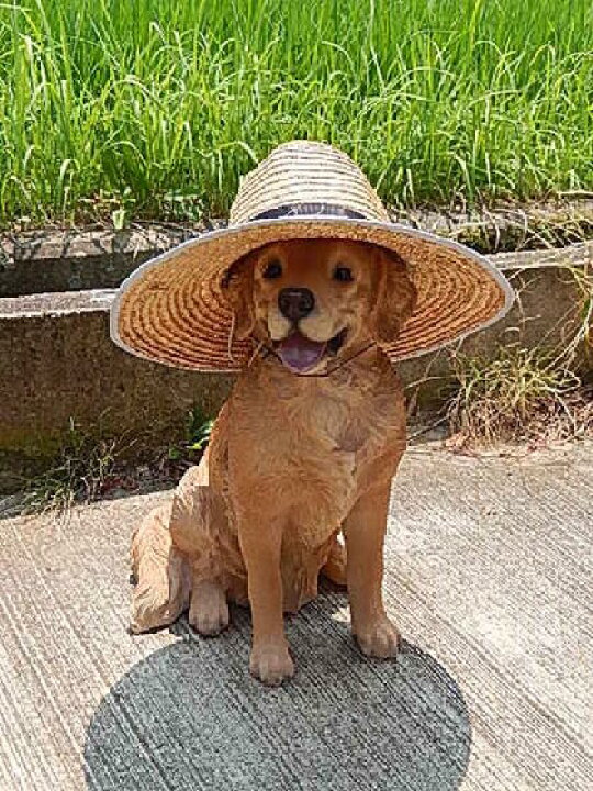 楽天市場】かわいい番犬に置物 レトリバーオブジェ 犬置物置物です 