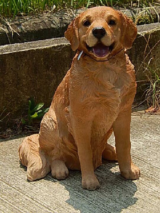 楽天市場】かわいい番犬に置物 レトリバーオブジェ 犬置物置物です 