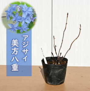 肵Ԃł̂͂ƂȂ܂@zԁ@d@AWTC@c@d炫