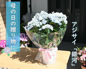 あじさい 万華鏡の通販 価格比較 価格 Com