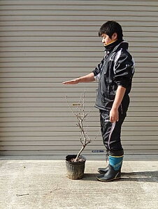 2025�N4���ɊJ�ԓ��̒��ł͈�Ԓ����[�ł��@��ړ��c����5�N�����c�؋�ړ��̕c�Ȃ�܂��B�@��ڃt�W�c