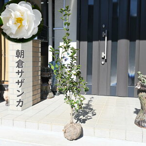 2025N Jԕc qTUJ c R TUJ