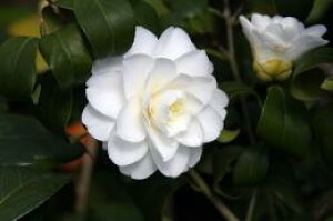 ֒؍120Z`Oc ycoLz ֕c銥΂@c