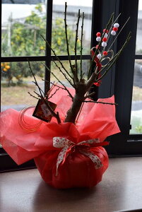 g~~2026N2`3JԒajɍg~gƔ~̔~~͂XXłB~͔~1210`28@̂͂́@}t胉bsOł̂͂ł