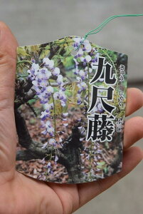 11{12̔ƂȂ܂B̒ł[̒Ԓړc c2026N4Jԗ\蓡ƂȂ܂B@ڃtWcLEVNtW@[ł