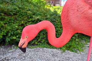 t~S@݁@AȒut~S̒u@u@tCfu@IIt~S⌺ւɒuƖڂ䂫܂Bv[gɂǂB