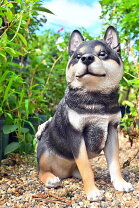 楽天市場】犬の置物 玄関 柴犬の通販