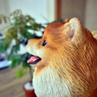ポメラニアン　もこもこのモコちゃん置物　かわいい置物　犬の置物お庭や玄関はもちろん、お部屋にも合い…