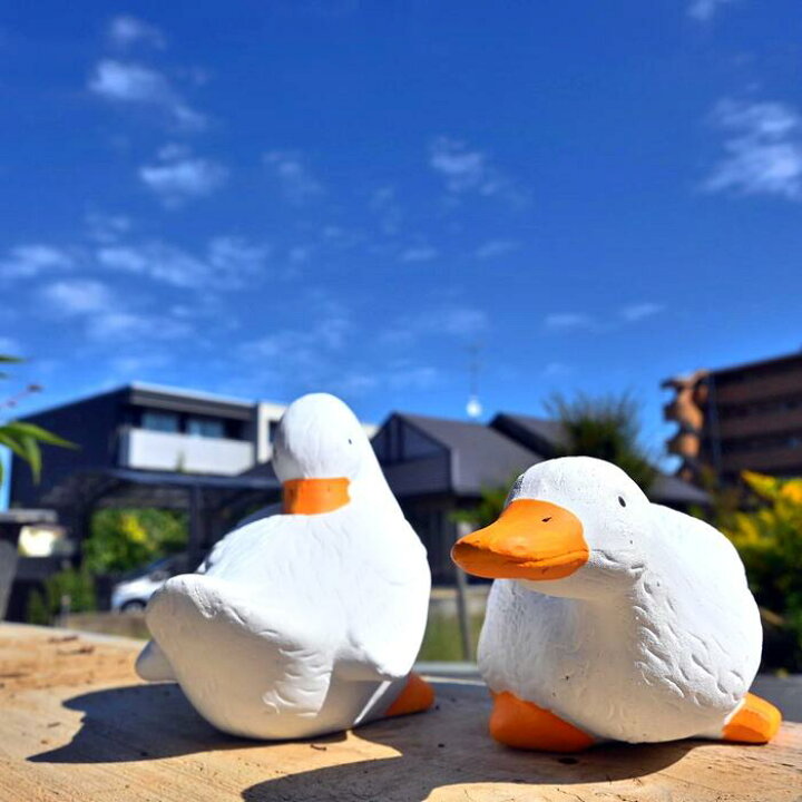 楽天市場】アヒル 2個セット置物 かわいい置物 アヒルの置物陶器 白く 