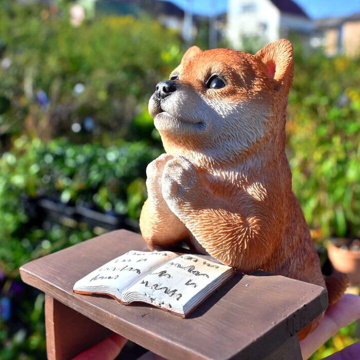 楽天市場】豆しば 勉強中 お願い置物 かわいい置物 犬の置物小さい置物 