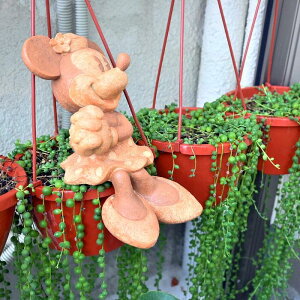 ディズニー 庭 Diyの人気商品 通販 価格比較 価格 Com