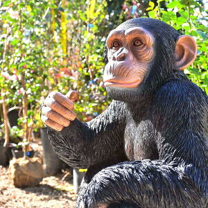 `pW[̒u@񃊃AȒu@킢u@u`pW[@⌺ւɏgoodI{̂悤Ȓu