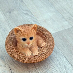 gL(Xq)@lR@ۂ˂̒u@u@u⌺ւɒugoodB