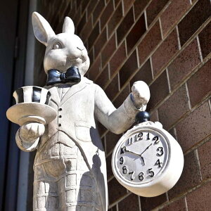 y6@ēח\zrbg(v)@svc̍V[Y̒u@u@rbg@_[h@Rabbit in Wonderland⌺ւ̕ЋɁB