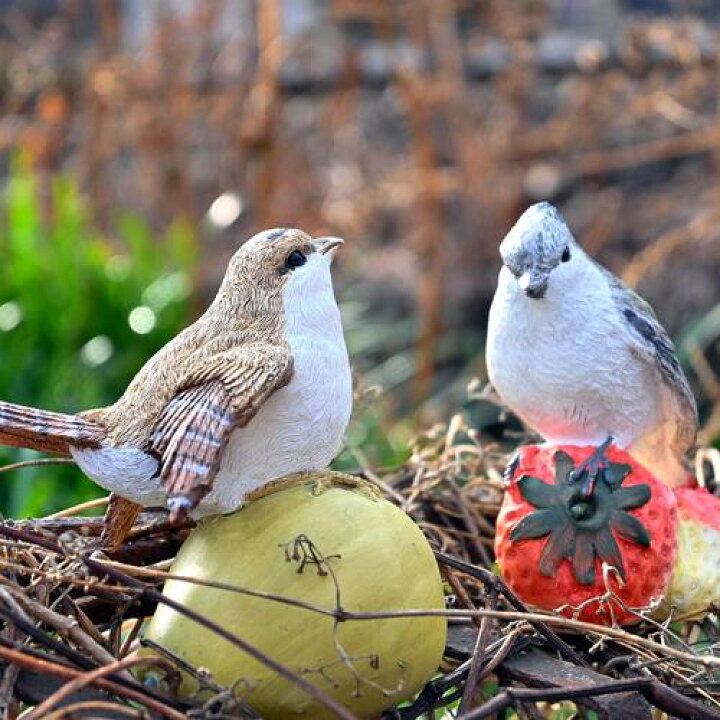 楽天市場】フルーツバード置物 かわいい置物 鳥の置物 果物 4個セット 