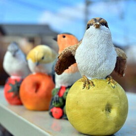 フルーツバード置物　かわいい置物　鳥の置物　果物　4個セット小鳥　鳥　フルーツお庭や玄関に飾っても、お部屋のインテリアとしてもおすすめです。一つずつでも、かわいいです。