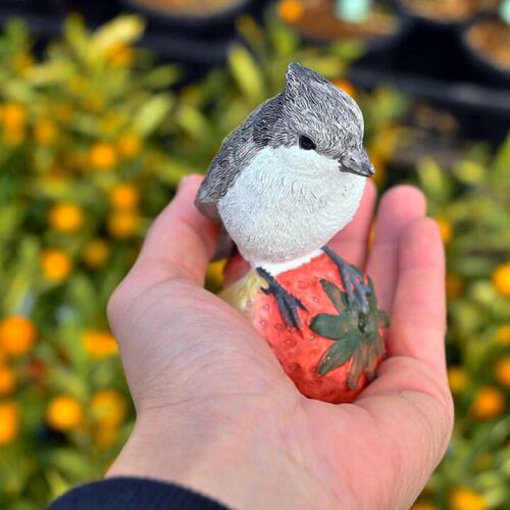 楽天市場】フルーツバード置物 かわいい置物 鳥の置物 果物 4個セット 