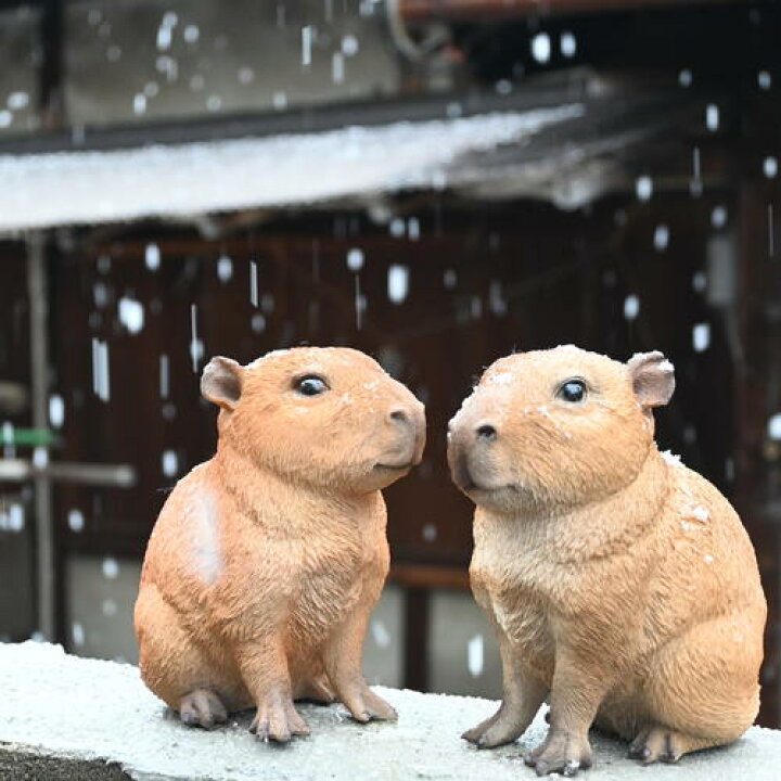 楽天市場】カピバラ 子供 2つセットカピバラの置物 置物 かわいい 