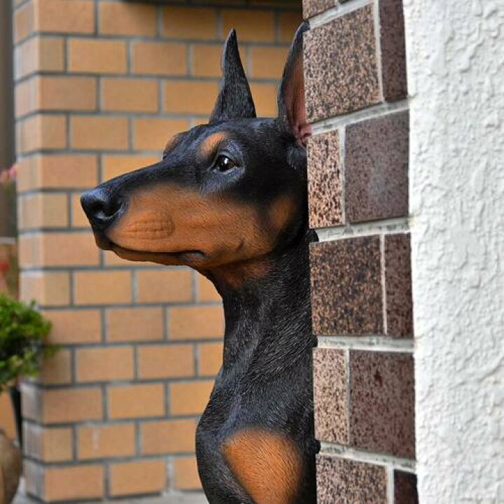 楽天市場】2025年5月より発送ドーベルマン いぬ 犬の置物ドーベルマン 