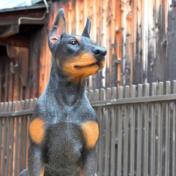 楽天市場】2025年5月より発送ドーベルマン いぬ 犬の置物ドーベルマン 