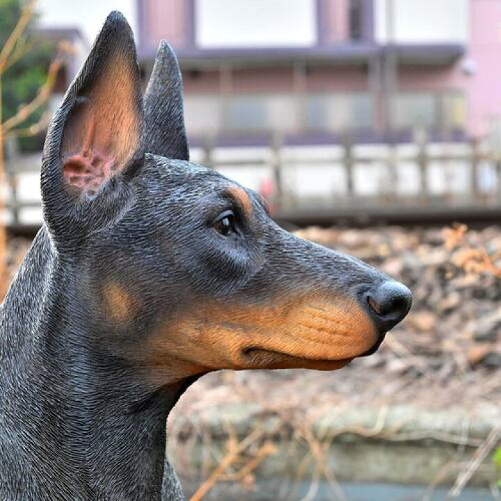 楽天市場】WOOBIA ドーベルマン いぬ 犬の置物ドーベルマンピッシャ 