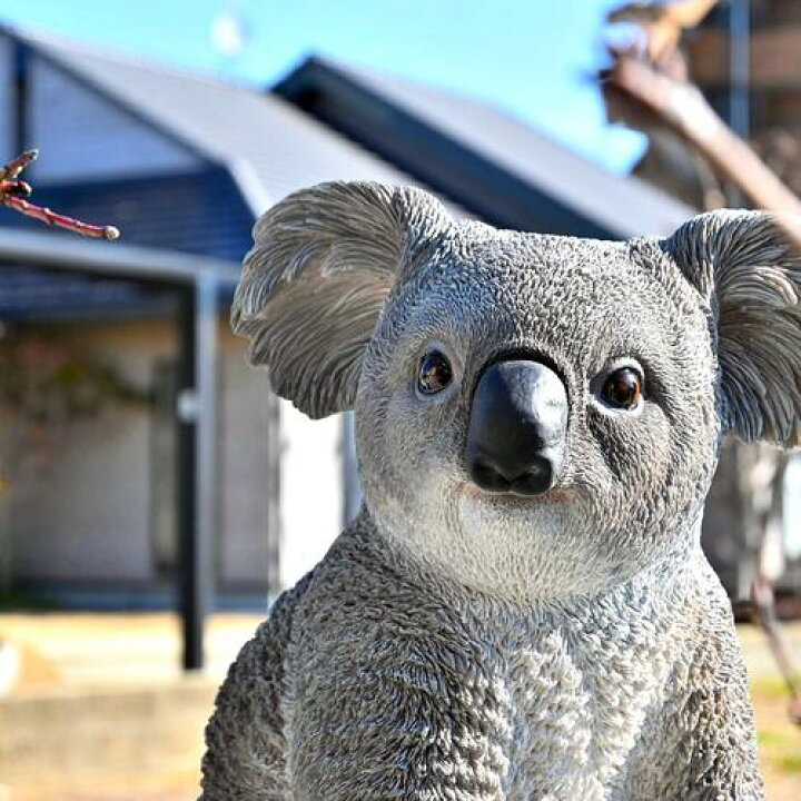 楽天市場】コアラ リアルなコアラコアラの置物 置物 かわいい置物子 