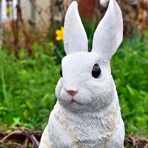 2025N11ח\ 낤@@rbg̒u@u@JsX{̂悤Ȓu⌺ւ͂AɂBv[gɂǂB