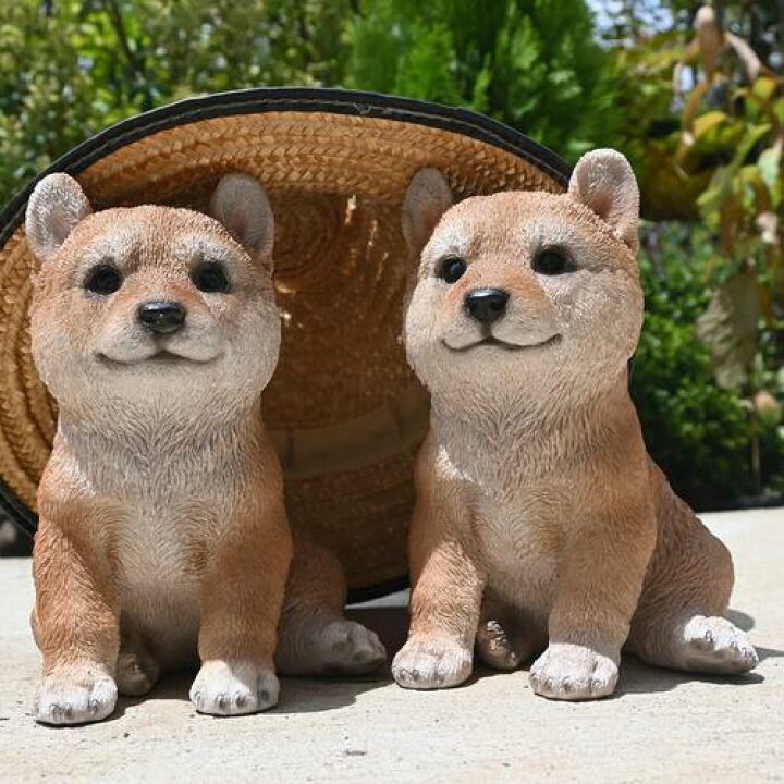 楽天市場】子犬置物 いやし小柴 茶 犬 2匹 双子 豆柴 : 園芸百貨店 