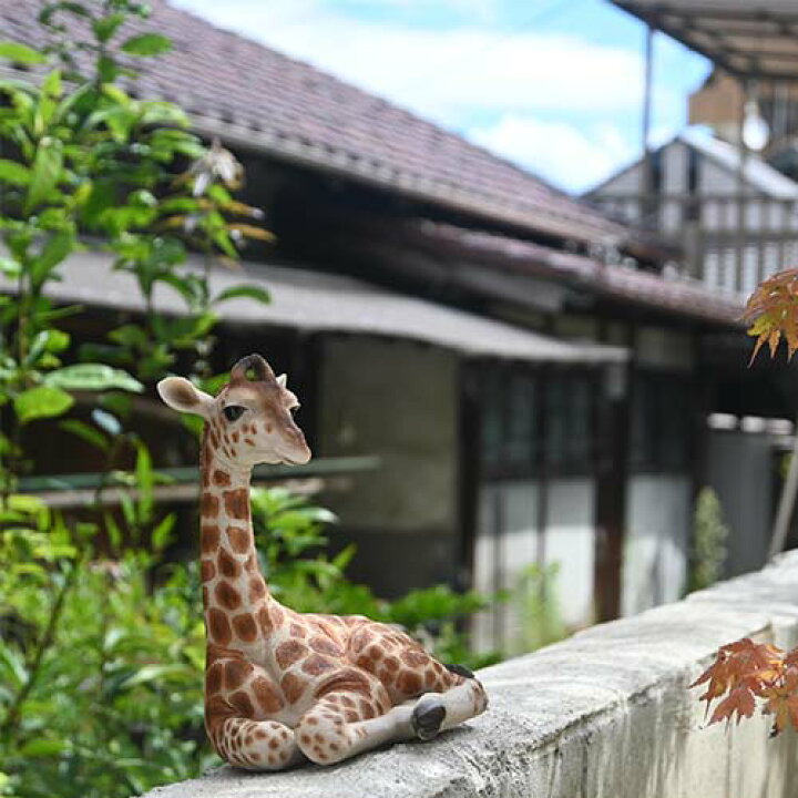 楽天市場】座っているキリンの置物 きりんリアルな置物 かわいい置物 