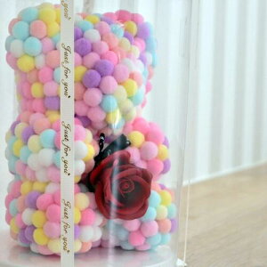 dreamin' bear@邭܂h[~xA@̓̃v[gɂav[gɃJtȃN}Jt@܁@xA@ u@蕨@j