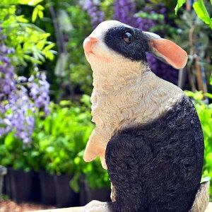 mNrbg@̒u@u@V}I{̂悤Ȓu@rbg⌺ւ͂AɂBv[gɂǂB