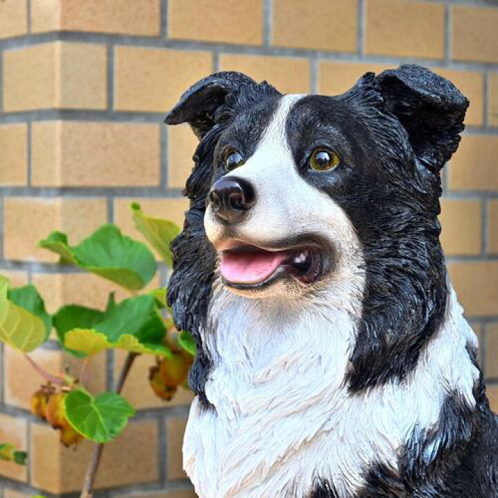 楽天市場】ボーダーコリー いぬ 犬置物 かわいい置物 犬の置物大きい 