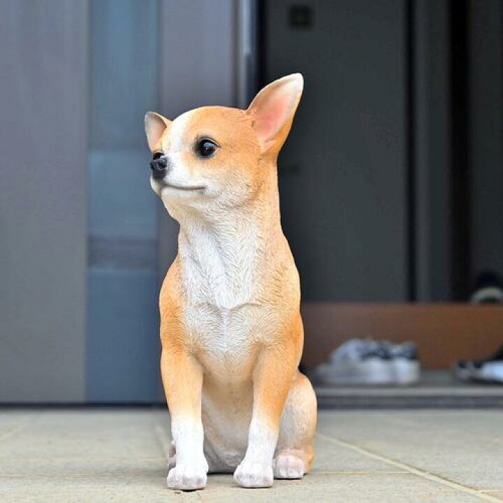 楽天市場】犬 チワワ 茶色い子犬置物 かわいい置物 犬の置物 ちくわ君 