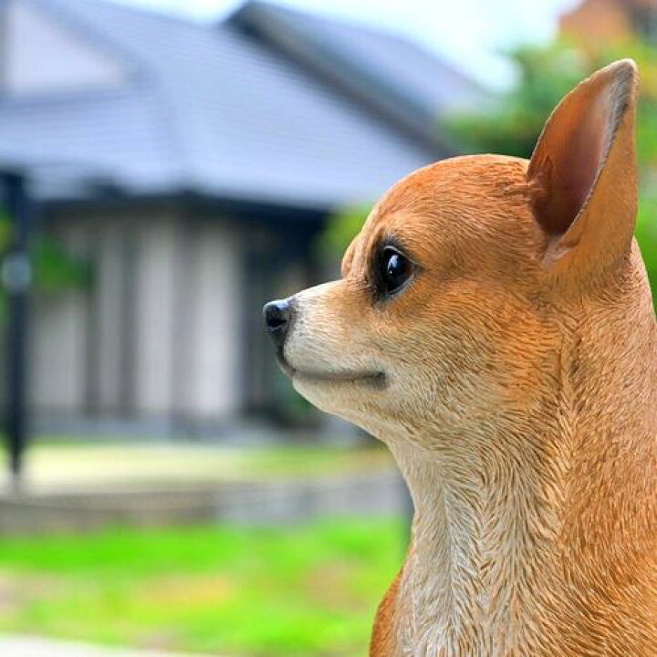 楽天市場】犬 チワワ 茶色い子犬置物 かわいい置物 犬の置物 ちくわ君 
