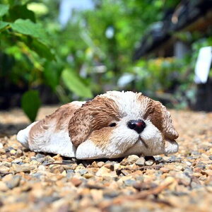 X[sOhbO@V[Y[u@̒u@Ԃ񖰂@ƂĂ錢⌺֐͂AɂǂI